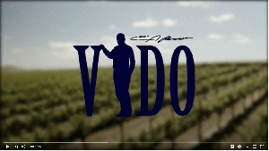 Launch Vido